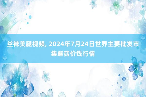 丝袜美腿视频, 2024年7月24日世界主要批发市集蘑菇价钱行情