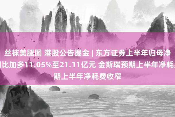 丝袜美腿图 港股公告掘金 | 东方证券上半年归母净利润同比加多11.05%至21.11亿元 金斯瑞预期上半年净耗费收窄