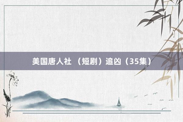 美国唐人社 (短剧)追凶(35集)