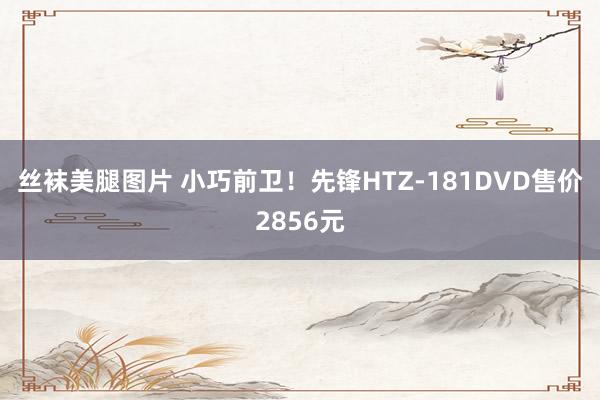丝袜美腿图片 小巧前卫！先锋HTZ-181DVD售价2856元
