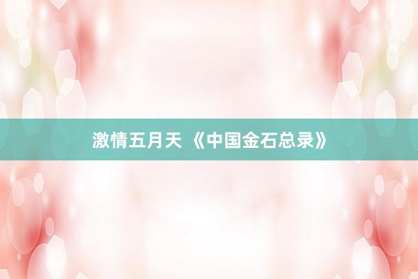 激情五月天 《中国金石总录》