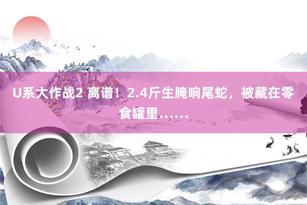 U系大作战2 离谱！2.4斤生腌响尾蛇，被藏在零食罐里……