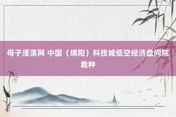 母子淫荡网 中国（绵阳）科技城低空经济盘问院栽种