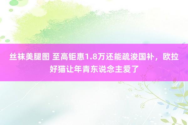 丝袜美腿图 至高钜惠1.8万还能疏浚国补，欧拉好猫让年青东说念主爱了