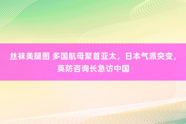 丝袜美腿图 多国航母聚首亚太，日本气派突变，英防咨询长急访中国