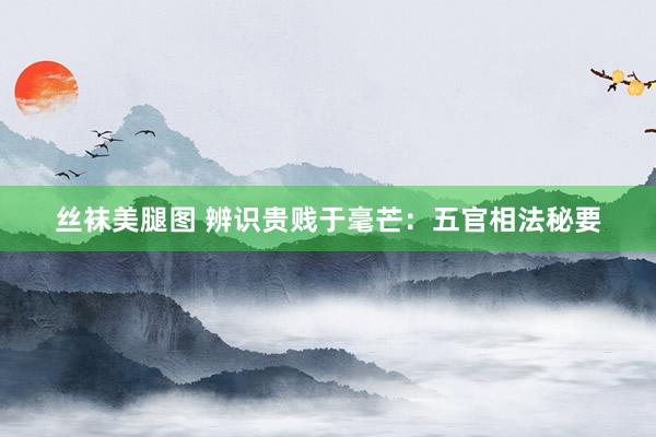 丝袜美腿图 辨识贵贱于毫芒：五官相法秘要