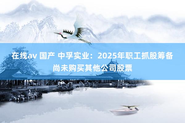 在线av 国产 中孚实业：2025年职工抓股筹备尚未购买其他公司股票